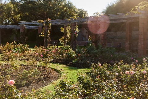 Circular ring of seats in garden
Southsea Rose Garden - City Guide 2022