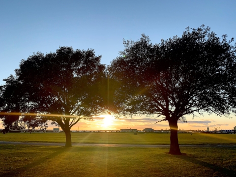 Sun setting at Southsea Common