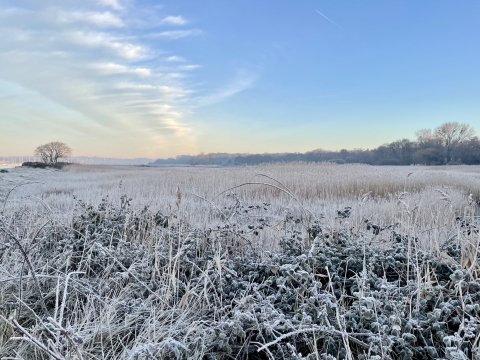 The Rive Hamble at sunrise on a frosty morning