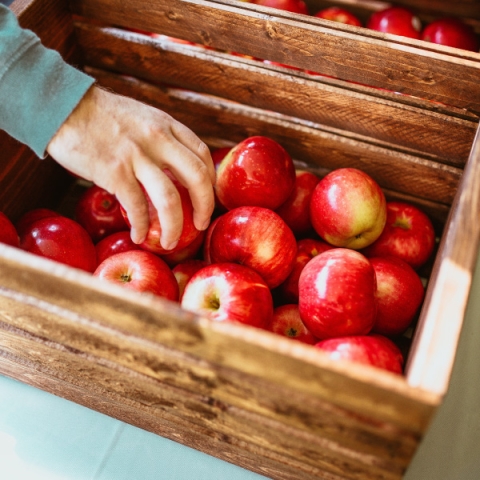 Crate of apples