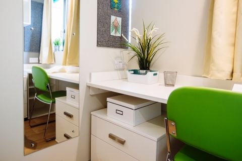 Student halls bedroom with decorative plant