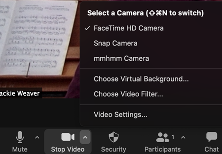 Screenshot showing how to turn off Zoom filters