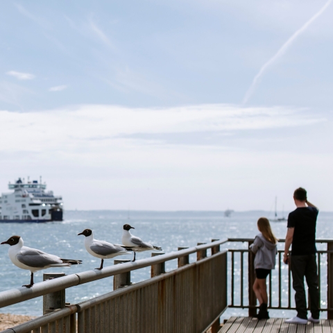 Ferry in the sea
