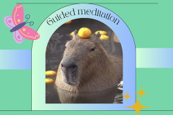 Guided meditation
