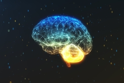 Brain rendering with neural connections
