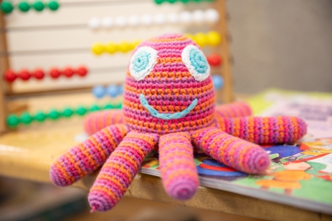 HSS Teaching Facility Milldam