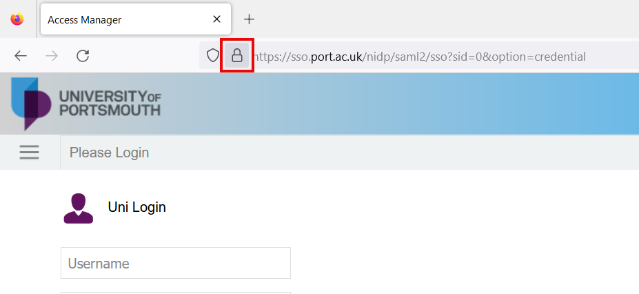 Click on the padlock icon in the URL bar